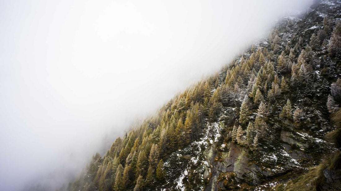 Why Do I Keep Getting Colds? What Frequent Colds Say About Your Immune System