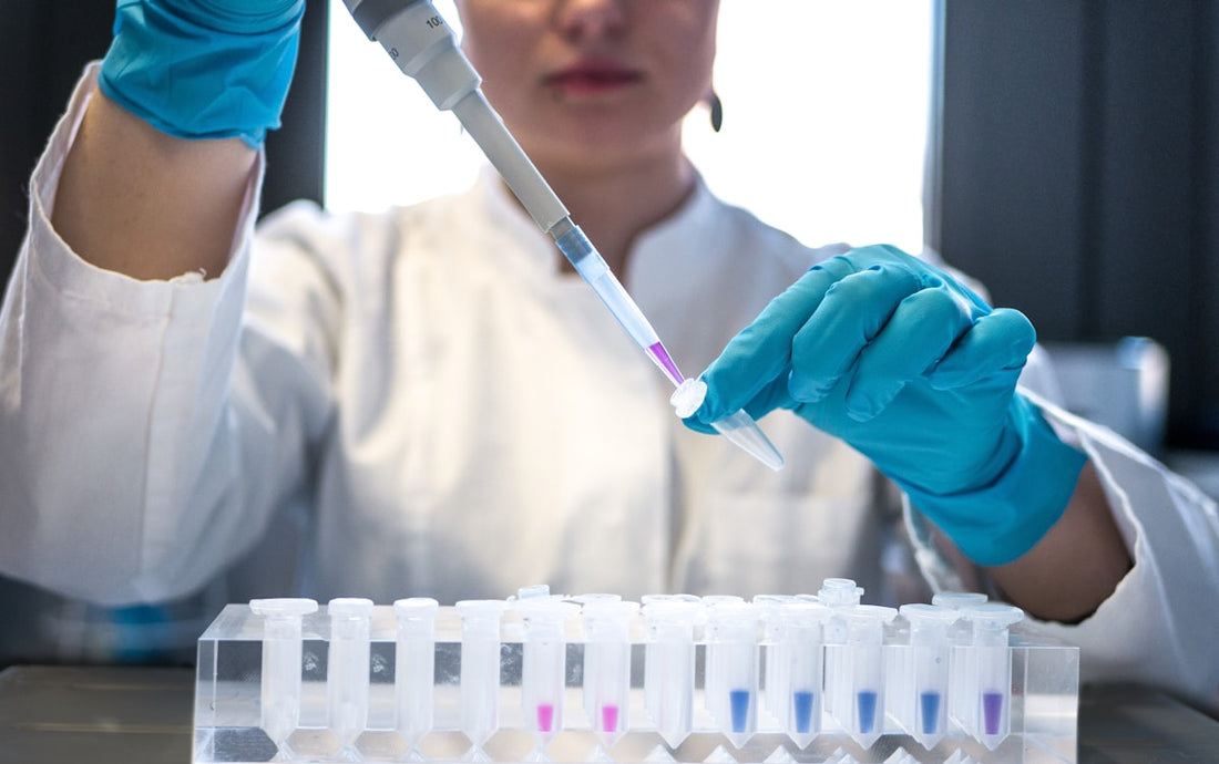 Laboratory researcher testing samples